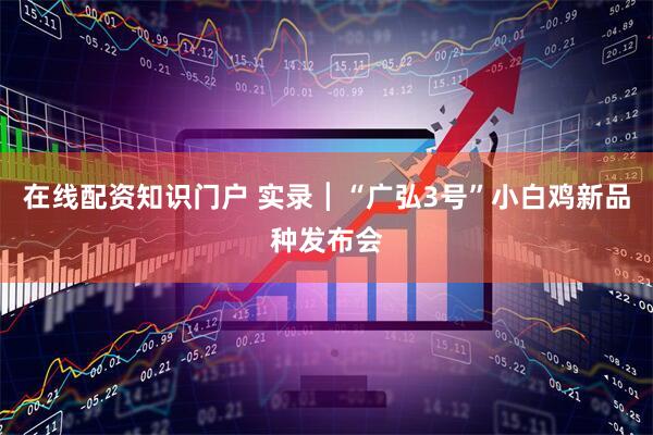 在线配资知识门户 实录┃“广弘3号”小白鸡新品种发布会